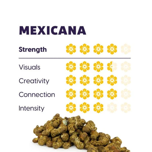 Maka – Psilocybe Mexicana, 15gram