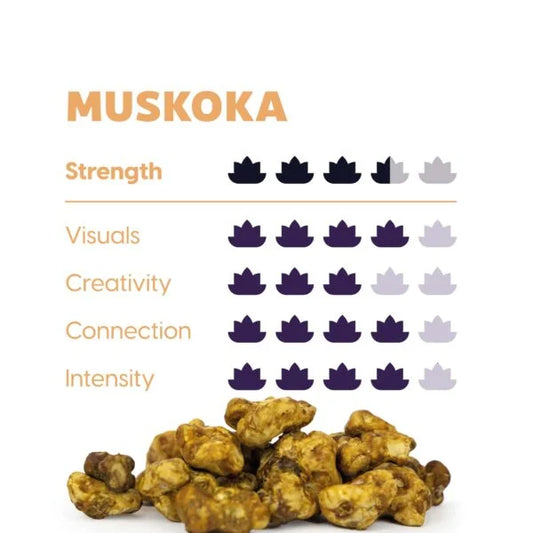 Maka – Psilocybe Muskoka, 15gram