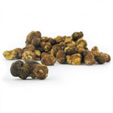 Mush magic - Fantasia Truffle