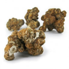 Premium Gold Truffle 22 grams