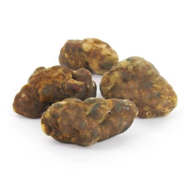 Premium Bronze Truffel 15 gram