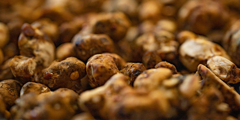 🌿 Magic Truffles: Een Complete Gebruikersgids 🌿
