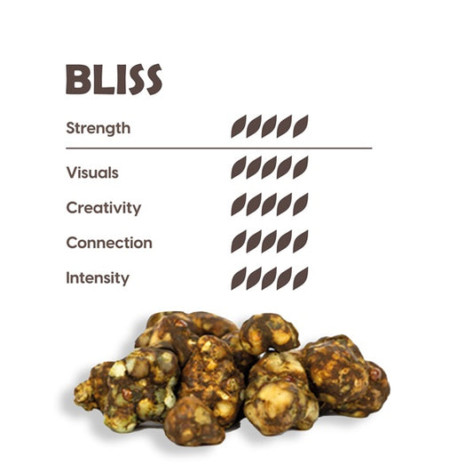Maka – Psilocybe Bliss, 25gram