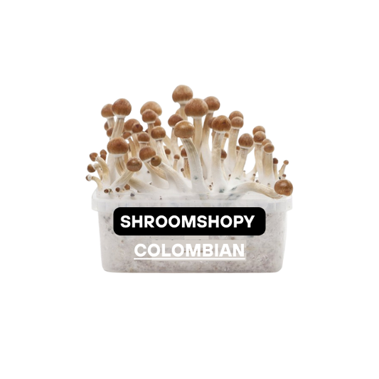 Growkits Paddo  Colombian 2100cc