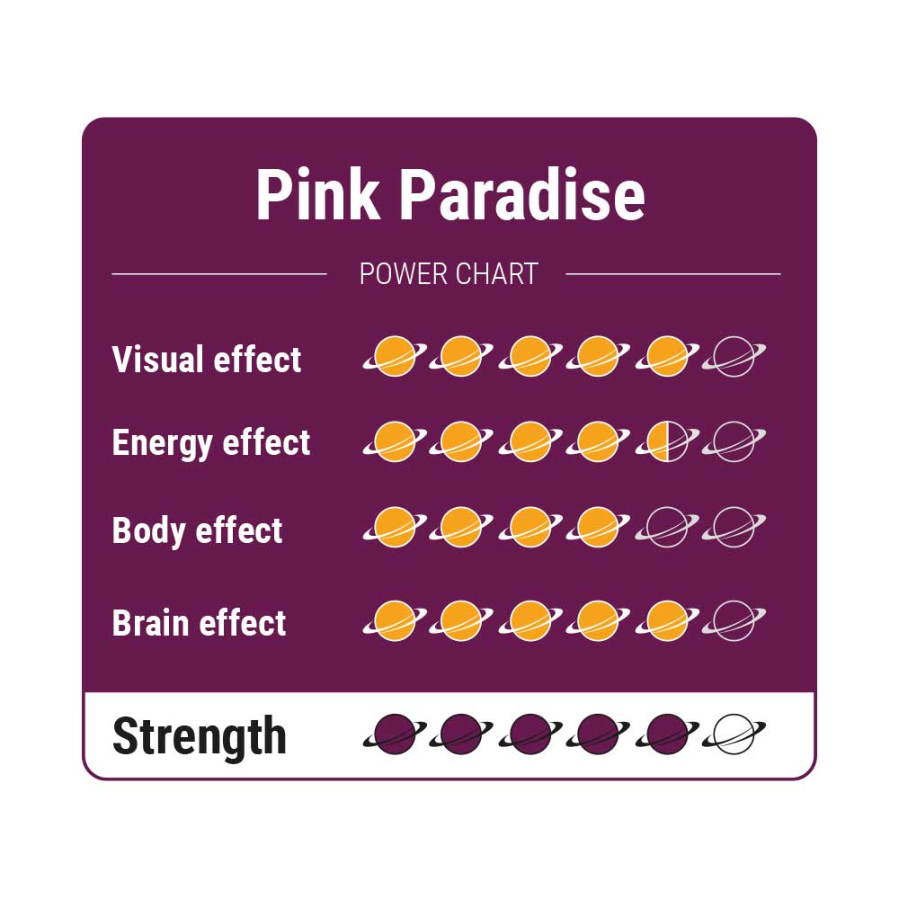 Pink Paradise - 15 gram