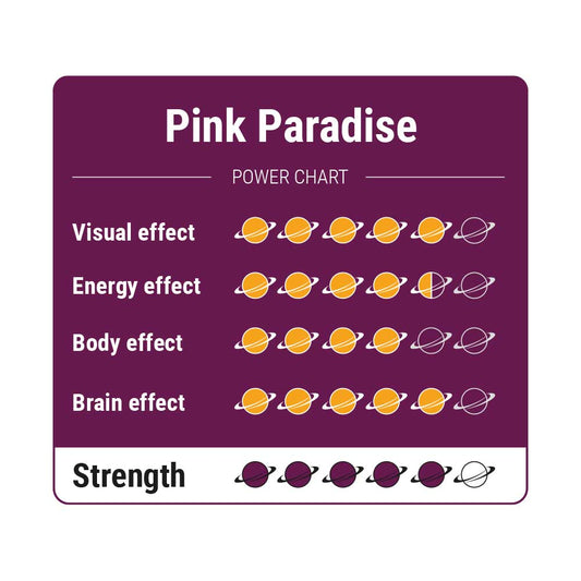 Pink Paradise - 15 gram