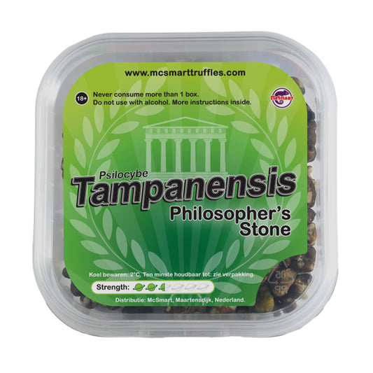 Tampanensis - 15 gram
