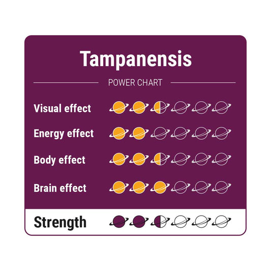 Tampanensis - 15 gram