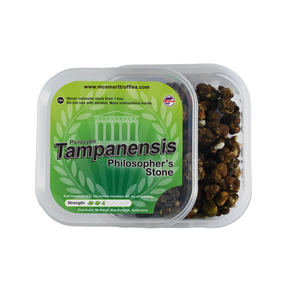 Tampanensis - 15 gram