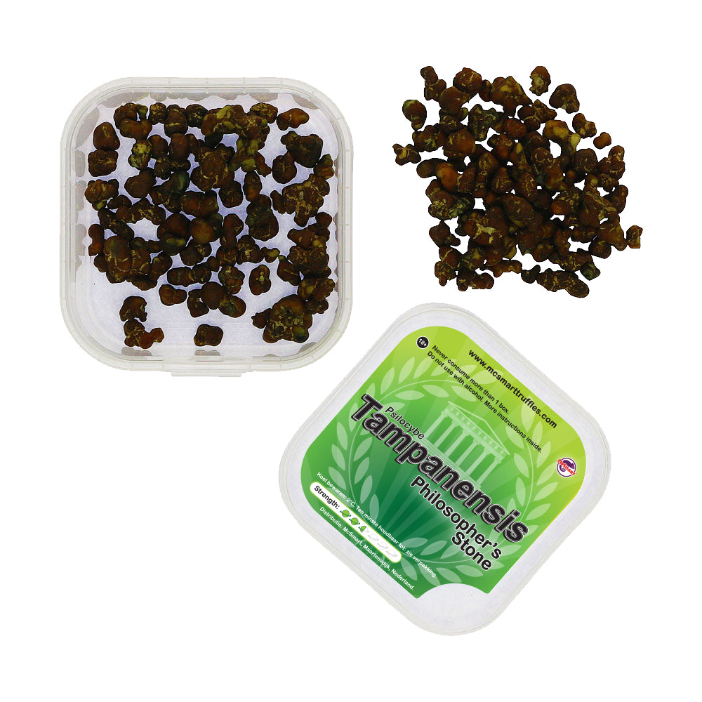Tampanensis - 15 gram