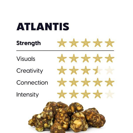 Maka – Psilocybe Atlantis, 15gram