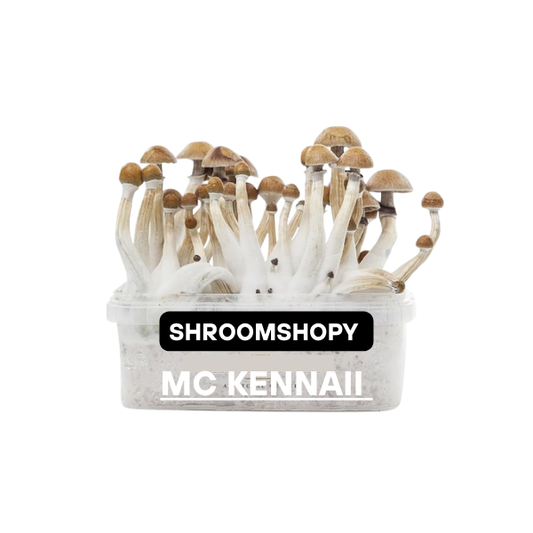 Growkits Paddo Mc Kennaii 1200cc
