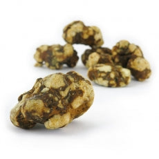 Mush magic - Atlantis Truffel