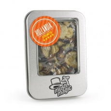 Mush magic - Hollandia Truffel
