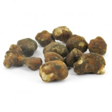 Mush magic - Mexicana Truffel