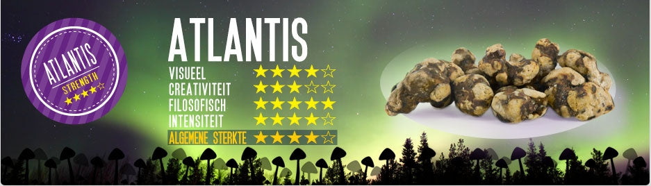 Mush magic - Atlantis Truffel