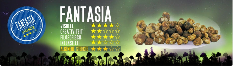 Mush magic - Fantasia Truffel