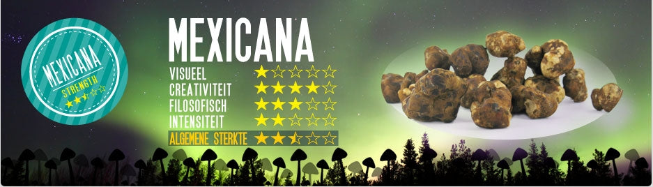 Mush magic - Mexicana Truffel