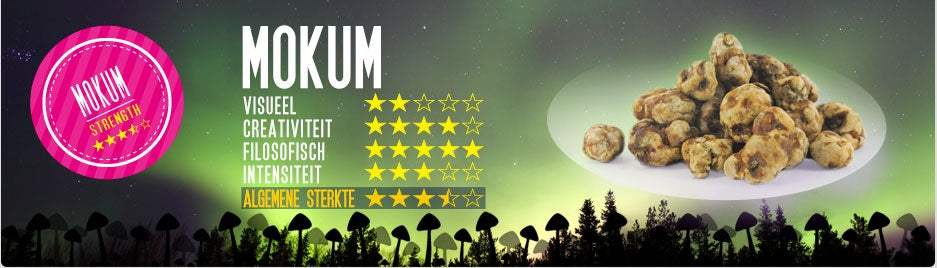 Mush magic - Mokum Truffel