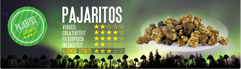 Mush magic - Pajaritos Magic Truffel