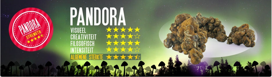 Mush magic - Pandora Truffel