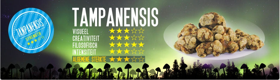 Mush magic - Tampanensis Truffel