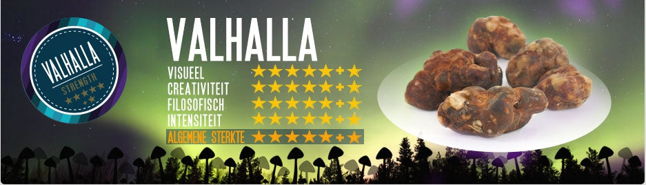 Mush magic - Valhalla Magic Truffel