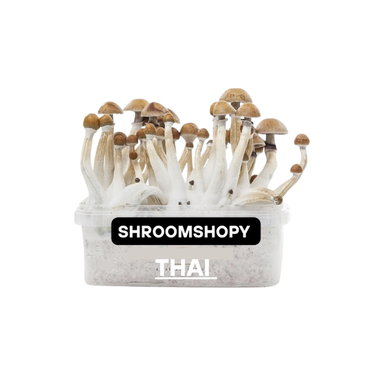 Growkits Paddo Thai 1200cc