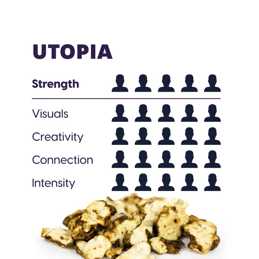 Maka – Psilocybe Utopia, 15gram